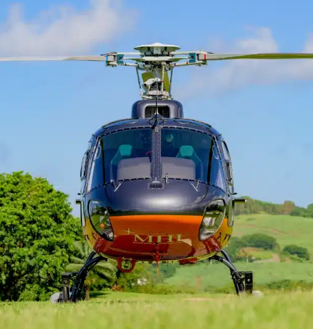 La Merveille Sous-Marine Iconique de l’Île Maurice